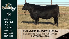 Lot #44 - PYRAMID RAINFALL 0216