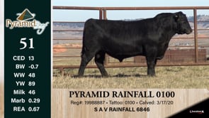 Lot #51 - PYRAMID RAINFALL 0100