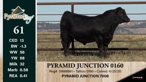 Lot #61 - PYRAMID JUNCTION 0160