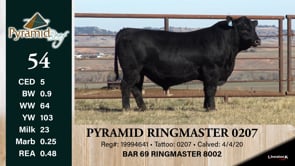 Lot #54 - PYRAMID RINGMASTER 0207