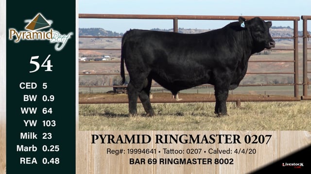 Lot #54 - PYRAMID RINGMASTER 0207