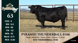 Lot #63 - PYRAMID THUNDERBALL 0106