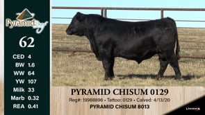 Lot #62 - PYRAMID CHISUM 0129