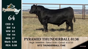 Lot #64 - PYRAMID THUNDERBALL 0138