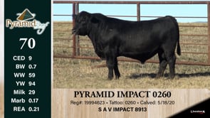 Lot #70 - PYRAMID IMPACT 0260