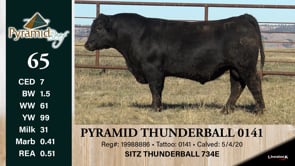 Lot #65 - PYRAMID THUNDERBALL 0141