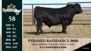 Lot #58 - PYRAMID RAINDANCE 0088