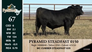 Lot #67 - PYRAMID STEADFAST 0150