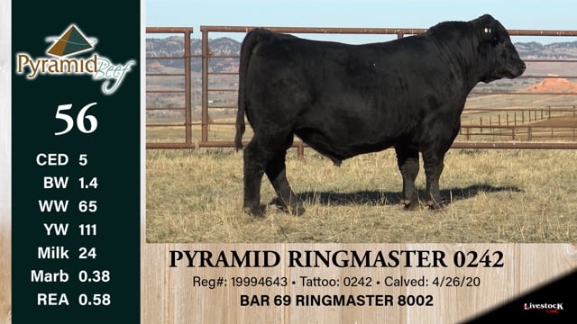 Lot #56 - PYRAMID RINGMASTER 0242