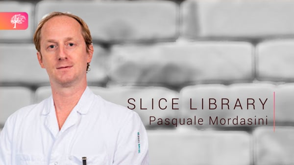 What to do for LVO and minor presentation in 2021 - Dr. Pasquale MORDASINI