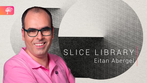What to do for LVO and minor presentation in 2021 - Dr. Eitan ABERGEL