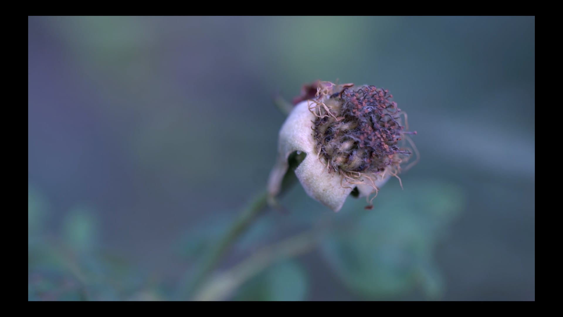 Don't Wait For Me