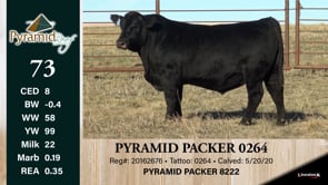Lot #73 - PYRAMID PACKER 0264
