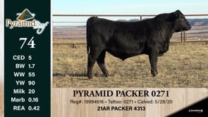 Lot #74 - PYRAMID PACKER 0271