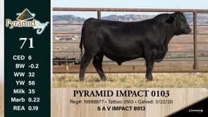 Lot #71 - PYRAMID IMPACT 0103