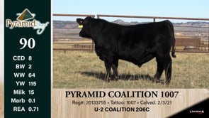 Lot #90 - PYRAMID COALITION 1007