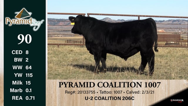 Lot #90 - PYRAMID COALITION 1007