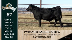 Lot #87 - PYRAMID AMERICA 1056