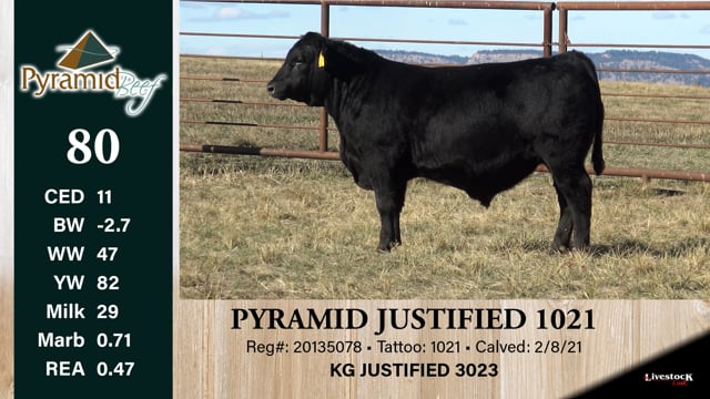 Lot #80 - PYRAMID JUSTIFIED 1021
