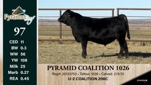 Lot #97 - PYRAMID COALITION 1026