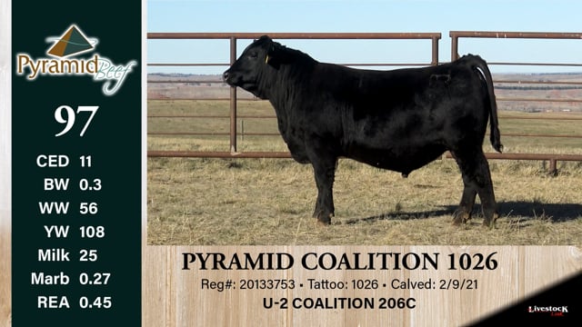 Lot #97 - PYRAMID COALITION 1026