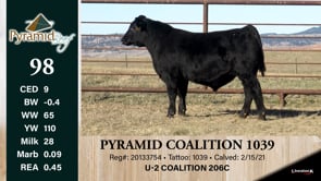 Lot #98 - PYRAMID COALITION 1039