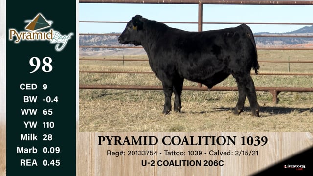 Lot #98 - PYRAMID COALITION 1039