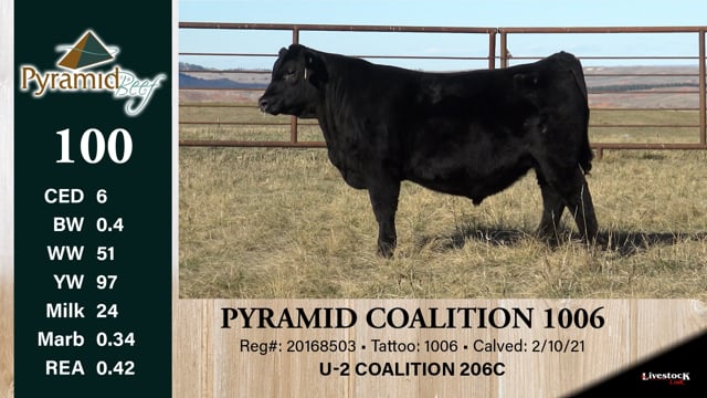 Lot #100 - PYRAMID COALITION 1006