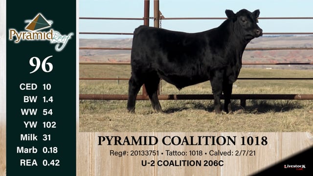 Lot #96 - PYRAMID COALITION 1018