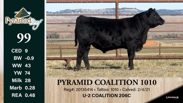 Lot #99 - PYRAMID COALITION 1010