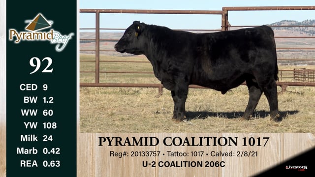 Lot #92 - PYRAMID COALITION 1017