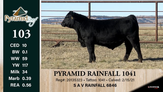 Lot #103 - PYRMID RAINFALL 1041
