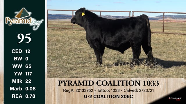 Lot #95 - PYRAMID COALITION 1033