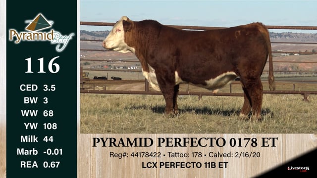 Lot #116 - PYRAMID PERFECTO 0178 ET