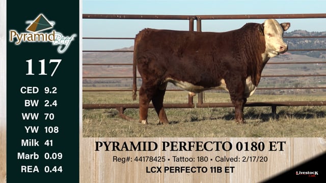 Lot #117 - PYRAMID PERFECTO 0180 ET ***OUT OF SALE***