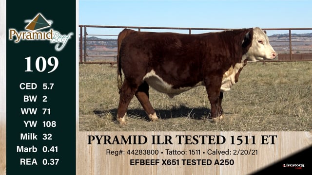 Lot #109 - PYRAMID ILR TESTED 1511 ET