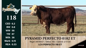 Lot #118 - PYRAMID PERFECTO 0182 ET ***OUT OF SALE***