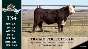 Lot #134 - PYRAMID PERFECTO 0410