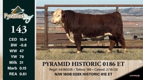 Lot #143 - PYRAMID HISTORIC 0186 ET ***OUT OF SALE***