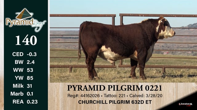 Lot #140 - PYRAMID PILGRIM 0221