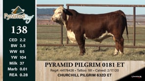 Lot #138 - PYRAMID PILGRIM 0181 ET
