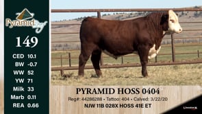 Lot #149 - PYRAMID HOSS 0404