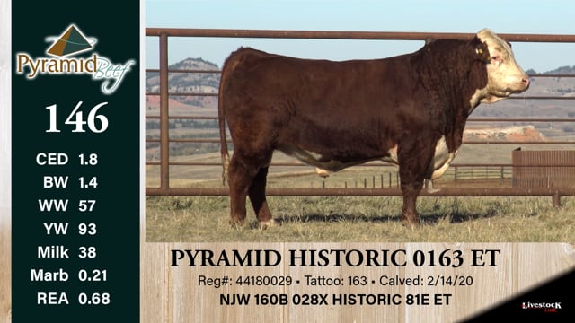 Lot #146 - PYRAMID HISTORIC 0163 ET