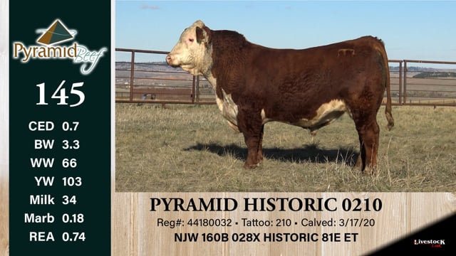 Lot #145 - PYRAMID HISTORIC 0210