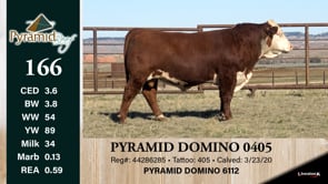 Lot #166 - PYRAMNID DOMINIO 0405