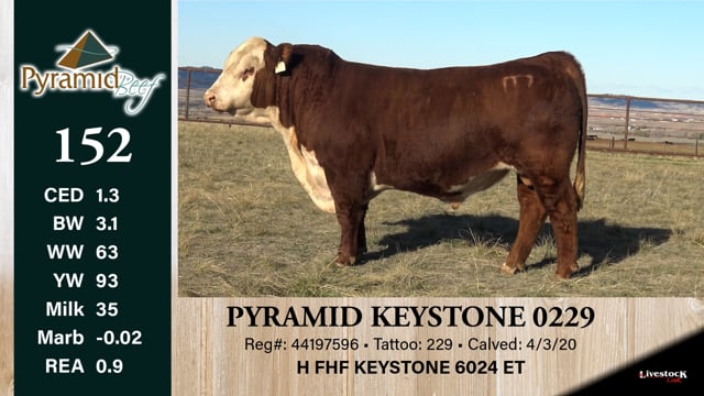 Lot #152 - PYRAMID KEYSTONE 0229