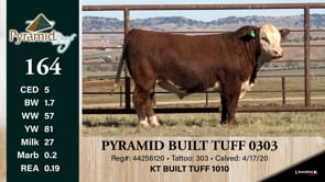 Lot #164 - PYRAMID BUILT TUFF 0303