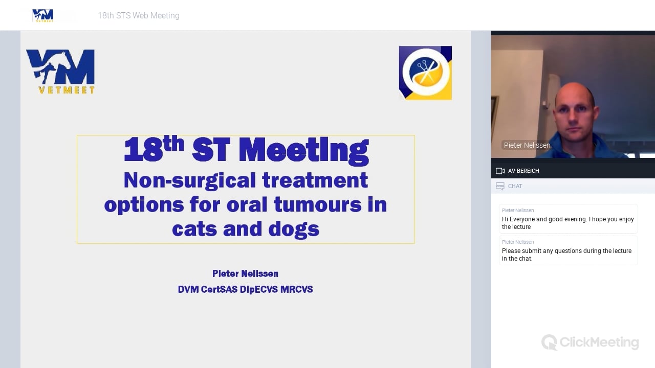 Non-surgical treatment options for oral tumours in cats and dogs
