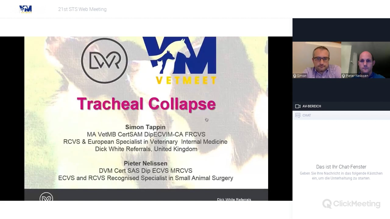 Tracheal collapse