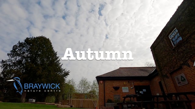 Autumn
